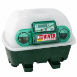 Couveuse pour ufs semi-automatique River Systems ET 12